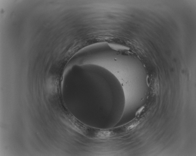 X0000066930227200603311400