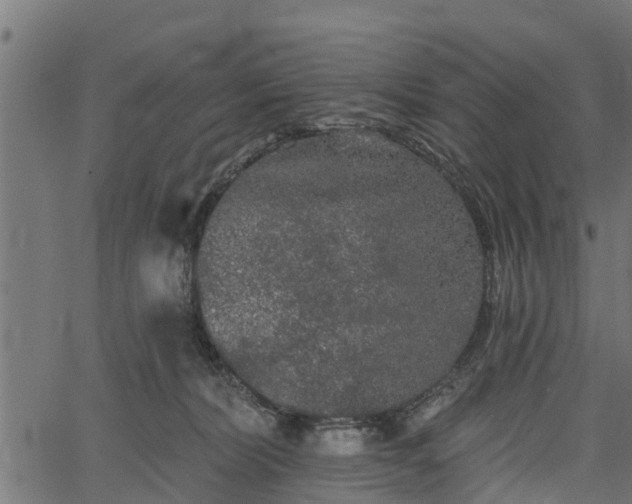 X0000066930228200603311400