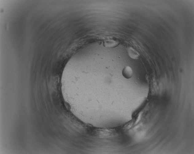 X0000066930229200603311400