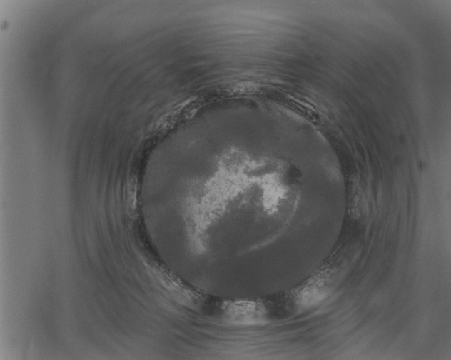 X0000066930230200603311400