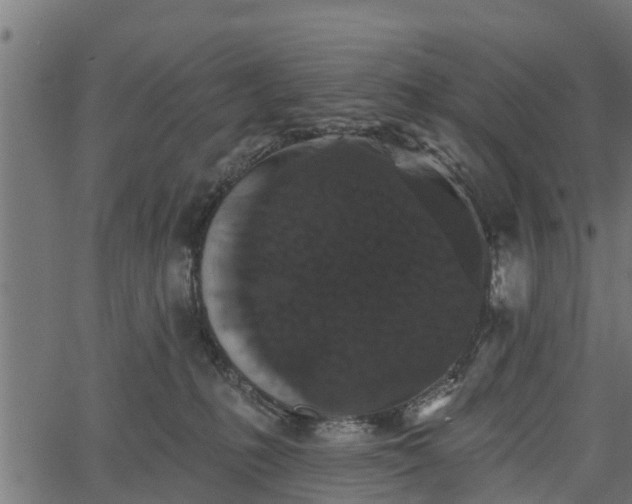 X0000066930231200603311400