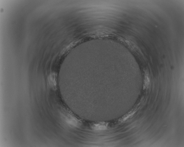 X0000066930232200603311400