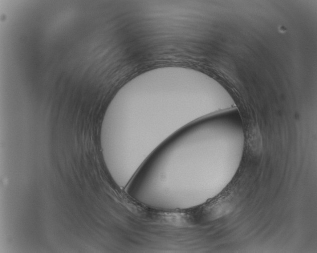 X0000066930233200603311400