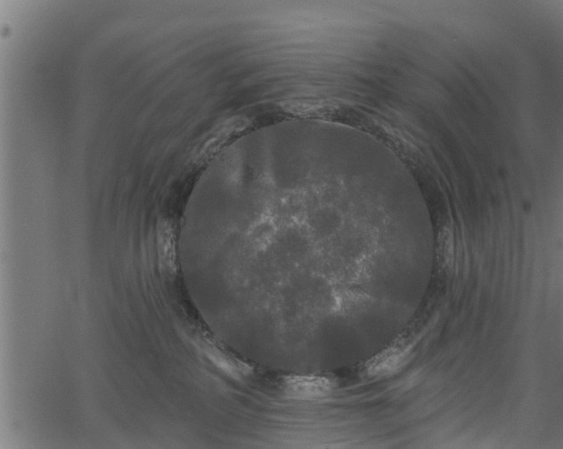 X0000066930234200603311400