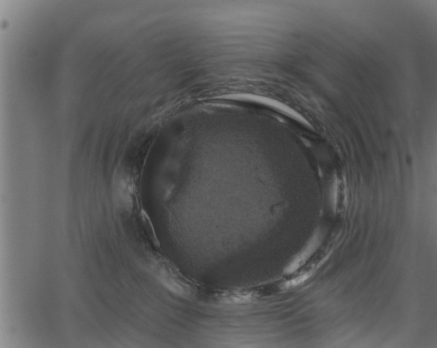 X0000066930235200603311400