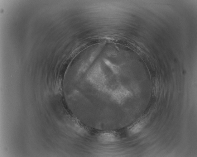 X0000066930236200603311400