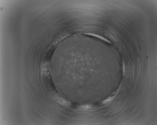 X0000066930237200603311400