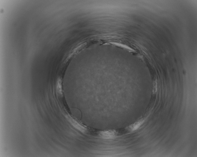 X0000066930238200603311400