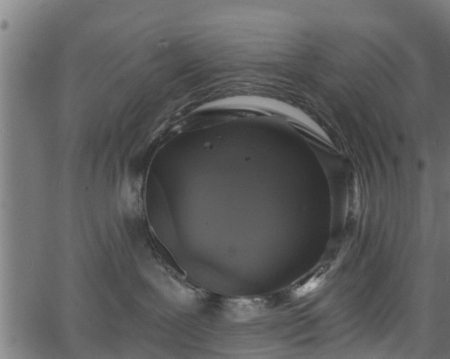 X0000066930239200603311400