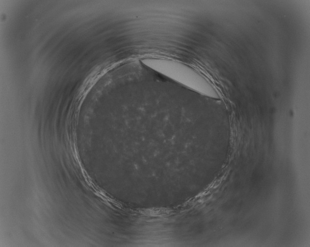 X0000066930241200603311359