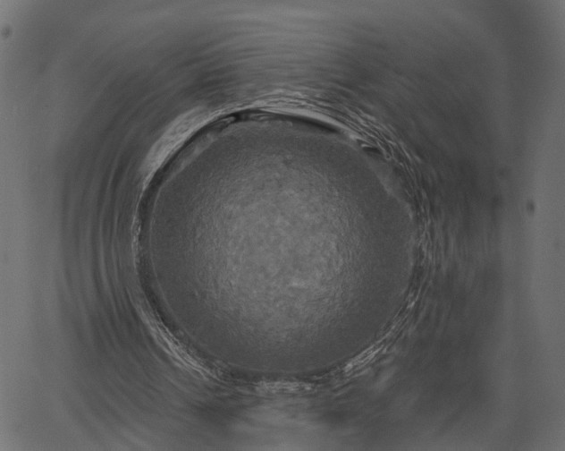 X0000066930242200603311359