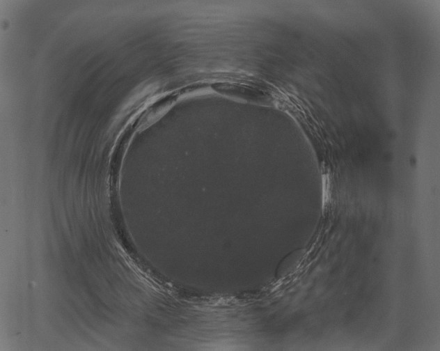 X0000066930243200603311359