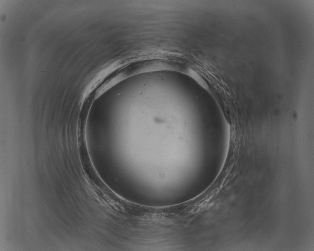 X0000066930244200603311359