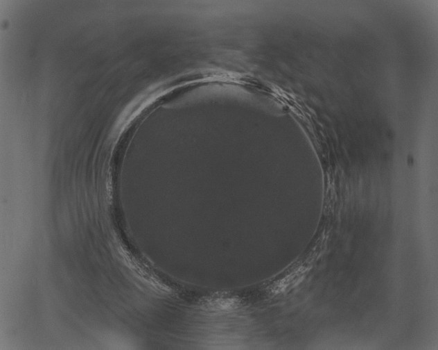 X0000066930247200603311359