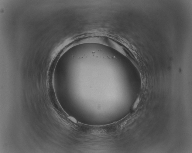 X0000066930248200603311359