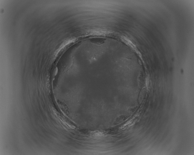 X0000066930249200603311359