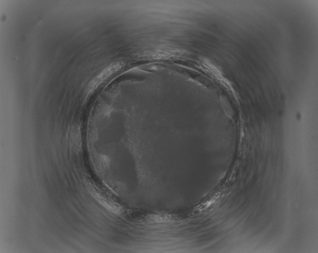 X0000066930250200603311359