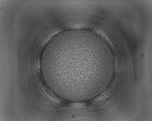 X0000066930251200603311359