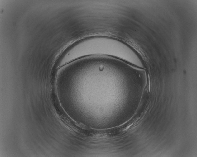 X0000066930252200603311359