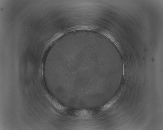 X0000066930253200603311359