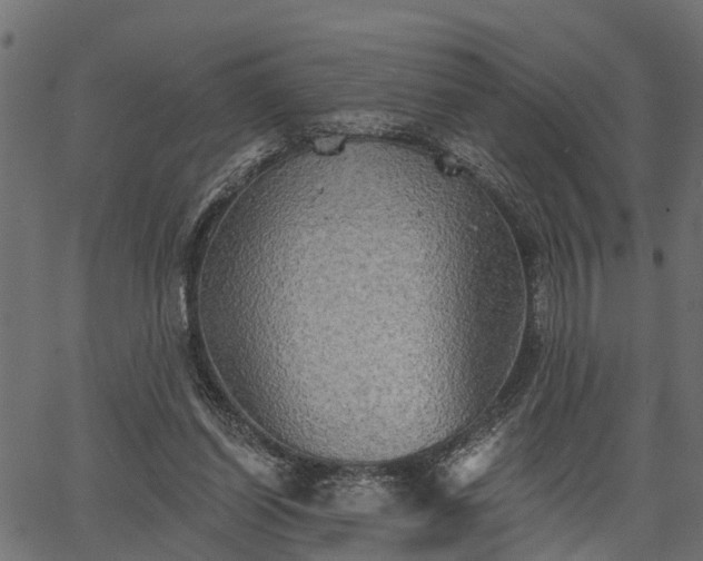 X0000066930254200603311359