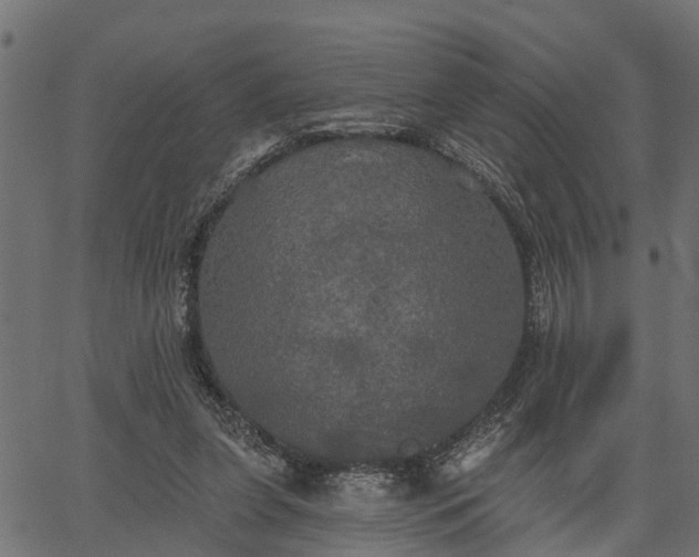 X0000066930255200603311359