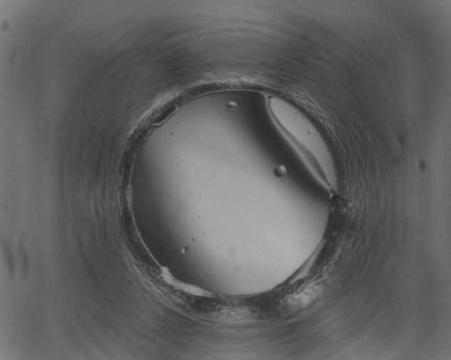 X0000066930256200603311359