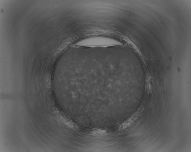 X0000066930257200603311359