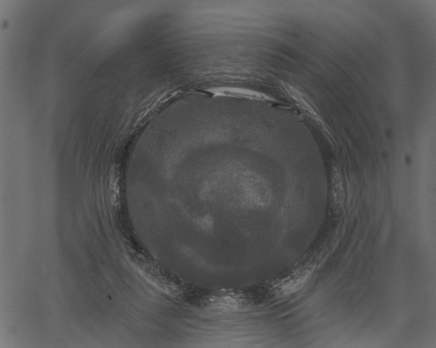 X0000066930259200603311359