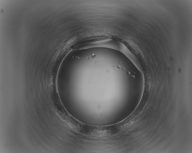 X0000066930260200603311359