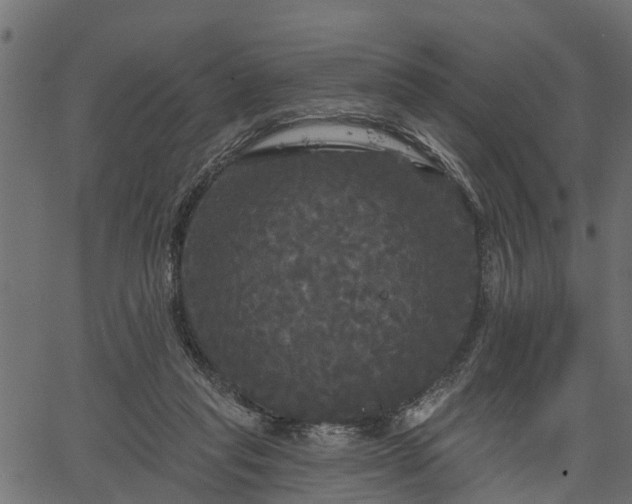 X0000066930261200603311359