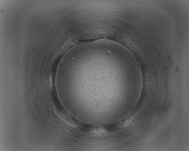 X0000066930262200603311359