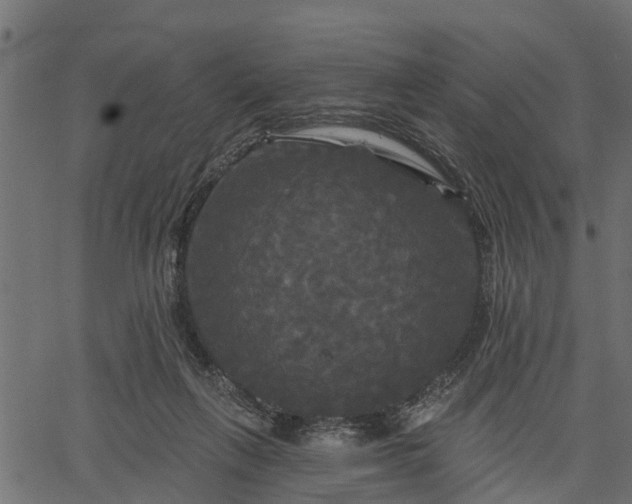 X0000066930263200603311359