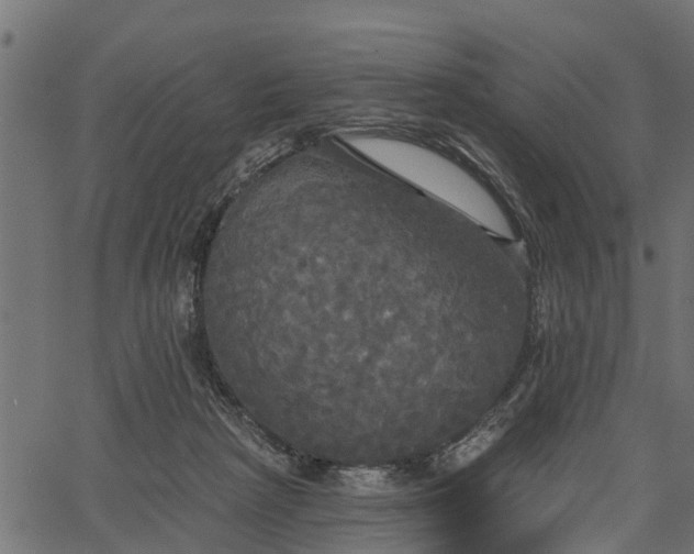 X0000066930265200603311359