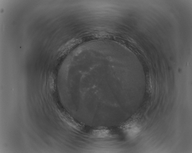 X0000066930266200603311359