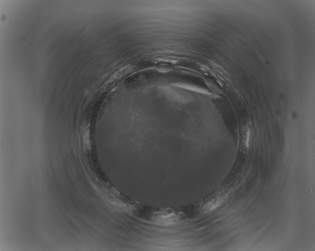 X0000066930267200603311359