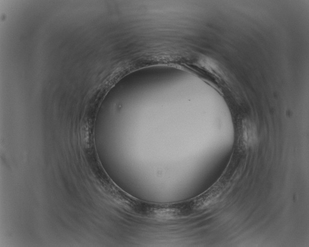 X0000066930268200603311359