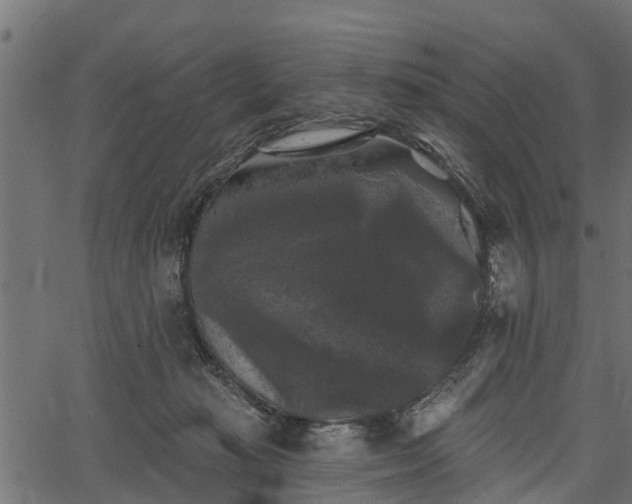 X0000066930269200603311359