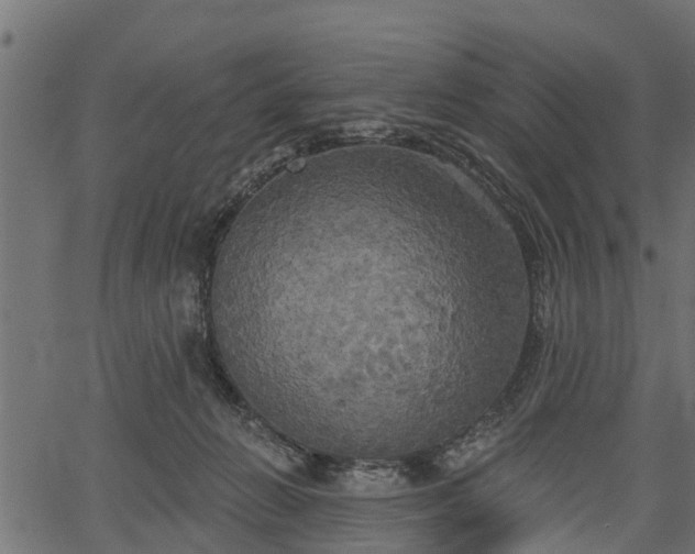 X0000066930270200603311359