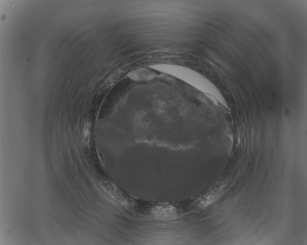 X0000066930271200603311359