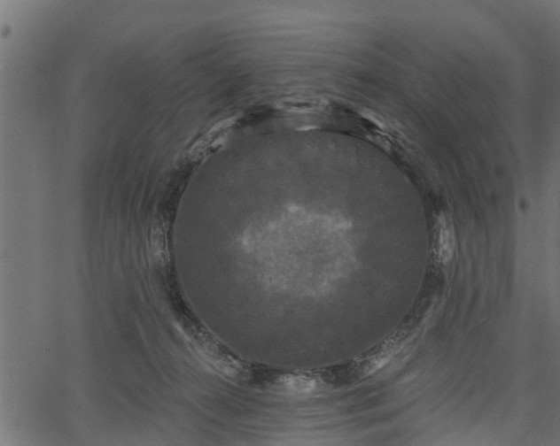 X0000066930272200603311359