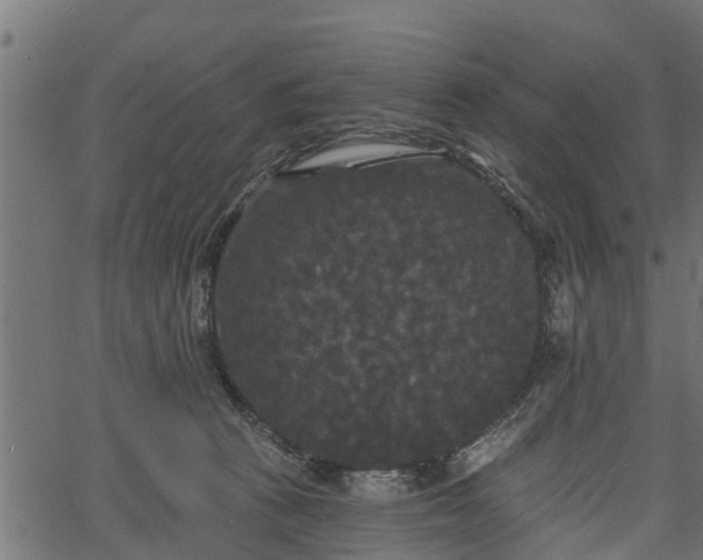 X0000066930273200603311359