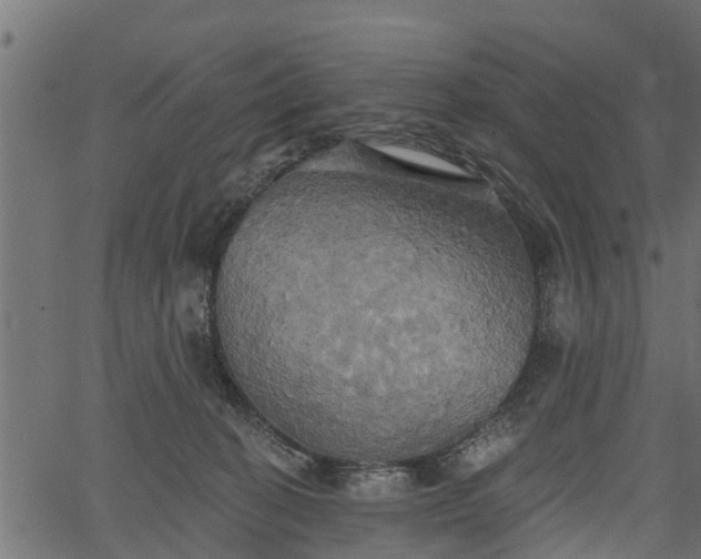 X0000066930274200603311359