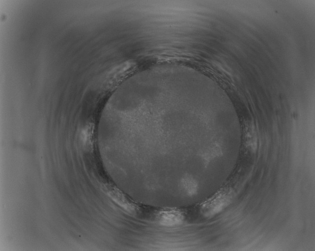 X0000066930275200603311359