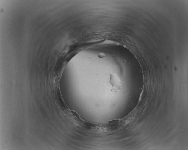 X0000066930276200603311359