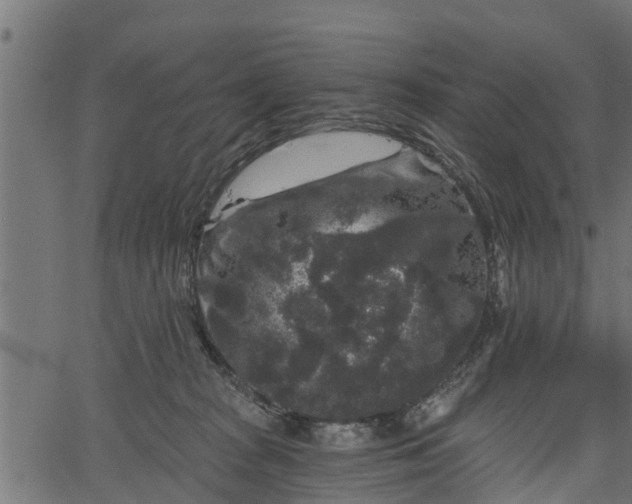 X0000066930277200603311359