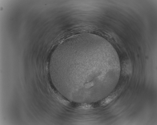 X0000066930278200603311359