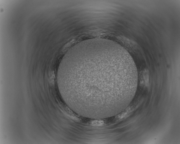 X0000066930279200603311359