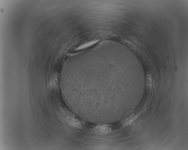 X0000066930280200603311359