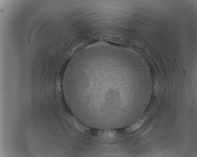 X0000066930282200603311400